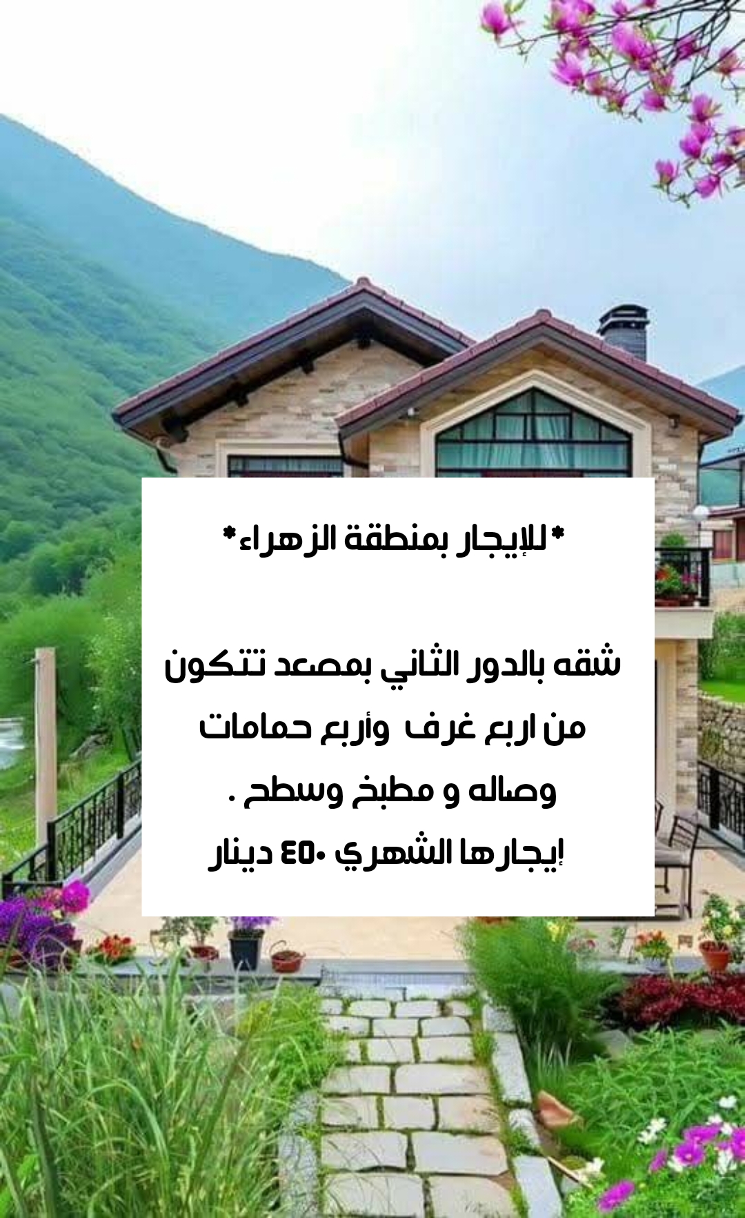 صورة العقار: للايجار شقه فى الزهراء