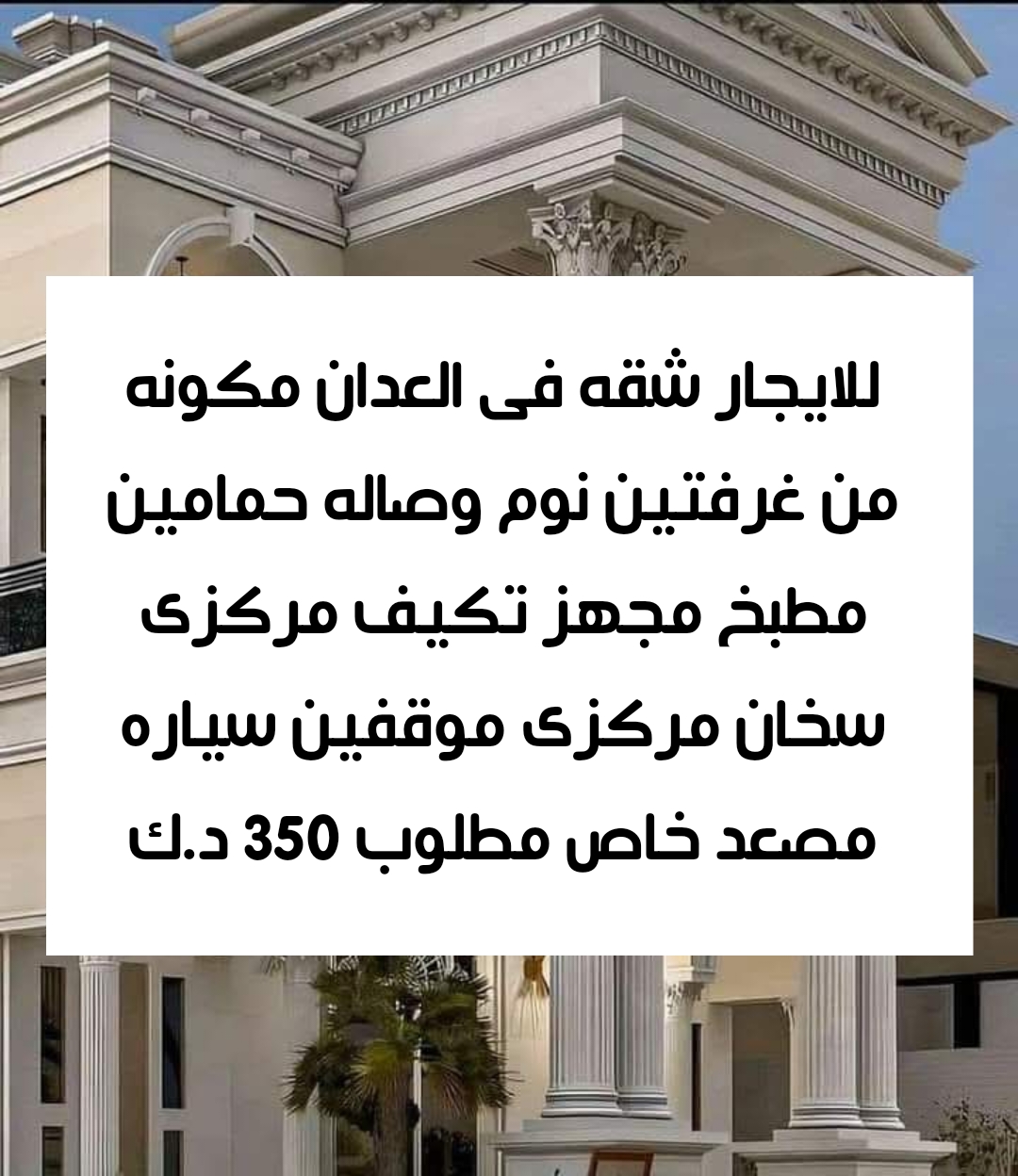 صورة العقار: للايجار شقه فى العدان